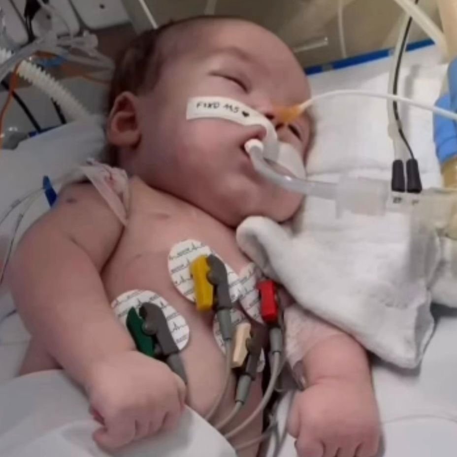 Pietro recuperação